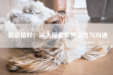 狼语精粹：深入探索狼的语言与沟通