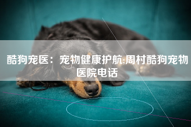 酷狗宠医：宠物健康护航;周村酷狗宠物医院电话