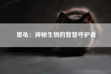 墨龟：神秘生物的智慧守护者