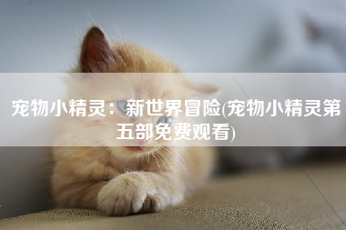 宠物小精灵：新世界冒险(宠物小精灵第五部免费观看)