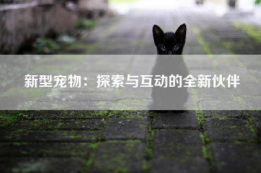 新型宠物：探索与互动的全新伙伴