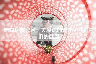 宠物医院官网：关爱你的宠物，守护它们的健康
