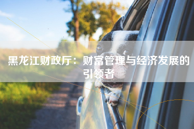 黑龙江财政厅：财富管理与经济发展的引领者