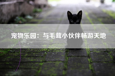 宠物乐园：与毛茸小伙伴畅游天地