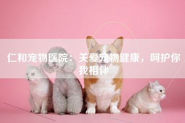 仁和宠物医院：关爱宠物健康，呵护你我相伴