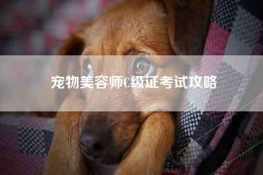 宠物美容师C级证考试攻略