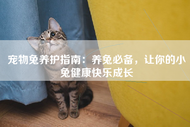 宠物兔养护指南：养兔必备，让你的小兔健康快乐成长