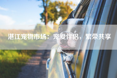 湛江宠物市场：宠爱伴侣，繁荣共享