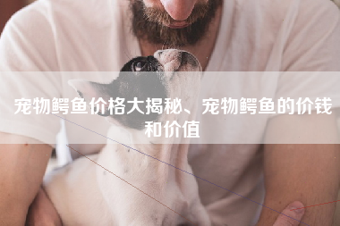 宠物鳄鱼价格大揭秘、宠物鳄鱼的价钱和价值