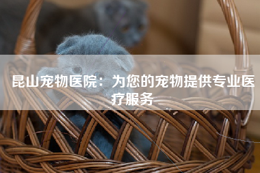 昆山宠物医院：为您的宠物提供专业医疗服务
