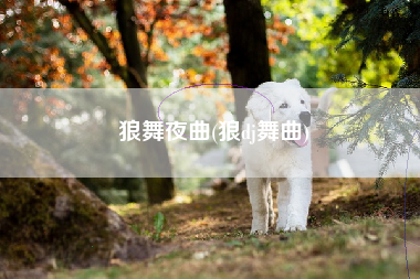 狼舞夜曲(狼dj舞曲)