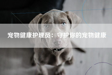 宠物健康护理员：守护你的宠物健康