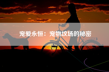 宠爱永恒：宠物坟场的秘密