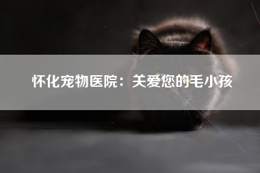 怀化宠物医院：关爱您的毛小孩
