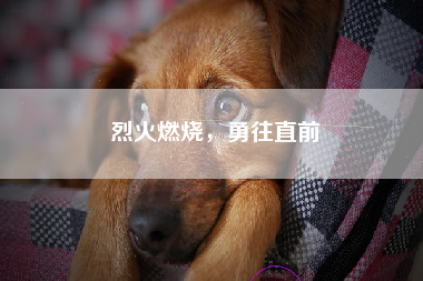 烈火燃烧，勇往直前
