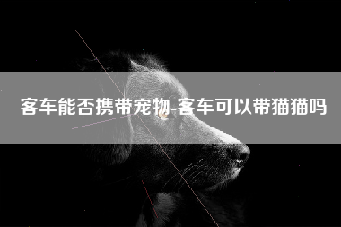 客车能否携带宠物-客车可以带猫猫吗