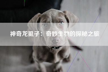 神奇龙虱子：奇妙生物的探秘之旅