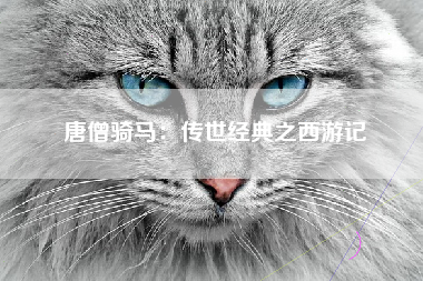 唐僧骑马：传世经典之西游记