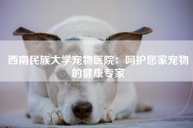 西南民族大学宠物医院：呵护您家宠物的健康专家
