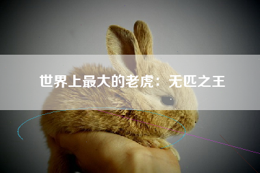 世界上最大的老虎：无匹之王