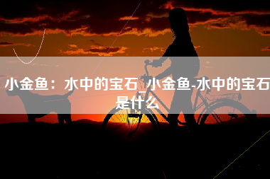 小金鱼：水中的宝石_小金鱼-水中的宝石是什么