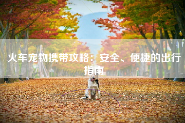 火车宠物携带攻略：安全、便捷的出行指南