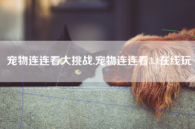 宠物连连看大挑战,宠物连连看3.1在线玩