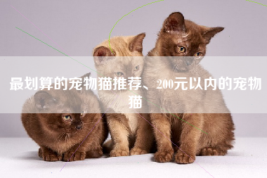 最划算的宠物猫推荐、200元以内的宠物猫