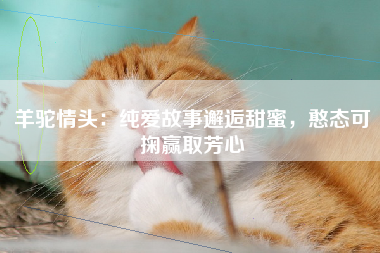 羊驼情头：纯爱故事邂逅甜蜜，憨态可掬赢取芳心