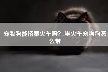 宠物狗能搭乘火车吗？,坐火车宠物狗怎么带