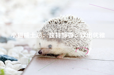 小猫威士忌：独特醇香，饮出优雅