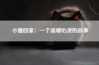 小猫回家：一个温暖心灵的故事