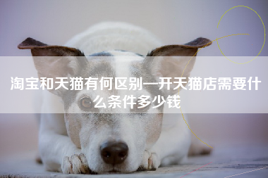 淘宝和天猫有何区别—开天猫店需要什么条件多少钱