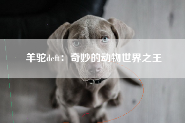 羊驼deft：奇妙的动物世界之王