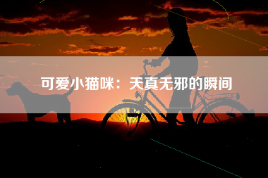 可爱小猫咪：天真无邪的瞬间