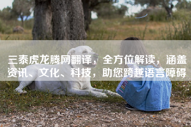 三泰虎龙腾网翻译，全方位解读，涵盖资讯、文化、科技，助您跨越语言障碍