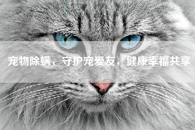 宠物除螨，守护宠爱友，健康幸福共享