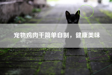 宠物鸡肉干简单自制，健康美味