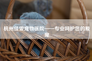 杭州佳雯宠物医院——专业呵护您的爱宠