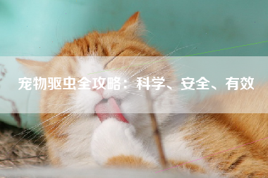 宠物驱虫全攻略：科学、安全、有效