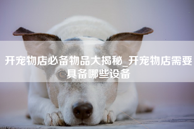 开宠物店必备物品大揭秘_开宠物店需要具备哪些设备