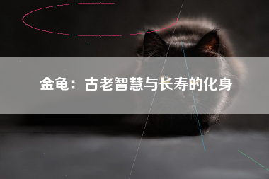 金龟：古老智慧与长寿的化身