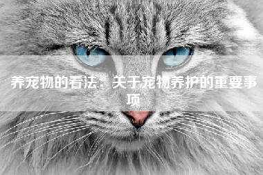 养宠物的看法：关于宠物养护的重要事项