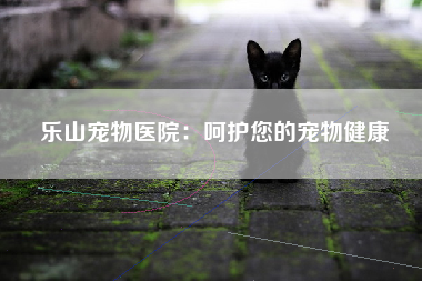 乐山宠物医院：呵护您的宠物健康