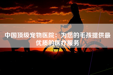 中国顶级宠物医院：为您的毛孩提供最优质的医疗服务
