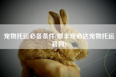 宠物托运必备条件(顺丰宠必达宠物托运官网)