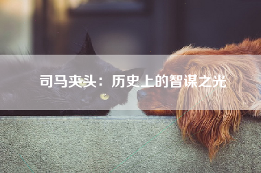 司马夹头：历史上的智谋之光