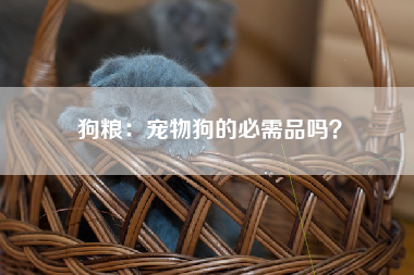 狗粮：宠物狗的必需品吗？
