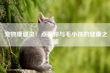 宠物康健灵：点亮你与毛小孩的健康之旅
