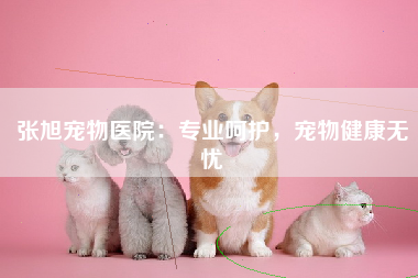 张旭宠物医院：专业呵护，宠物健康无忧